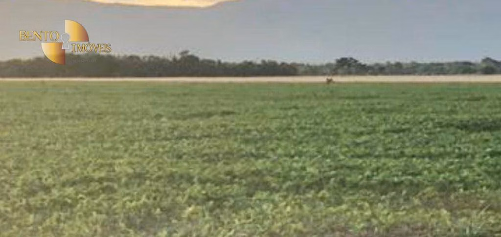 Fazenda de 1.400 ha em Jangada, MT