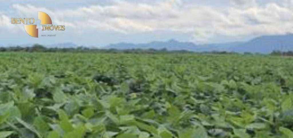 Fazenda de 1.400 ha em Jangada, MT