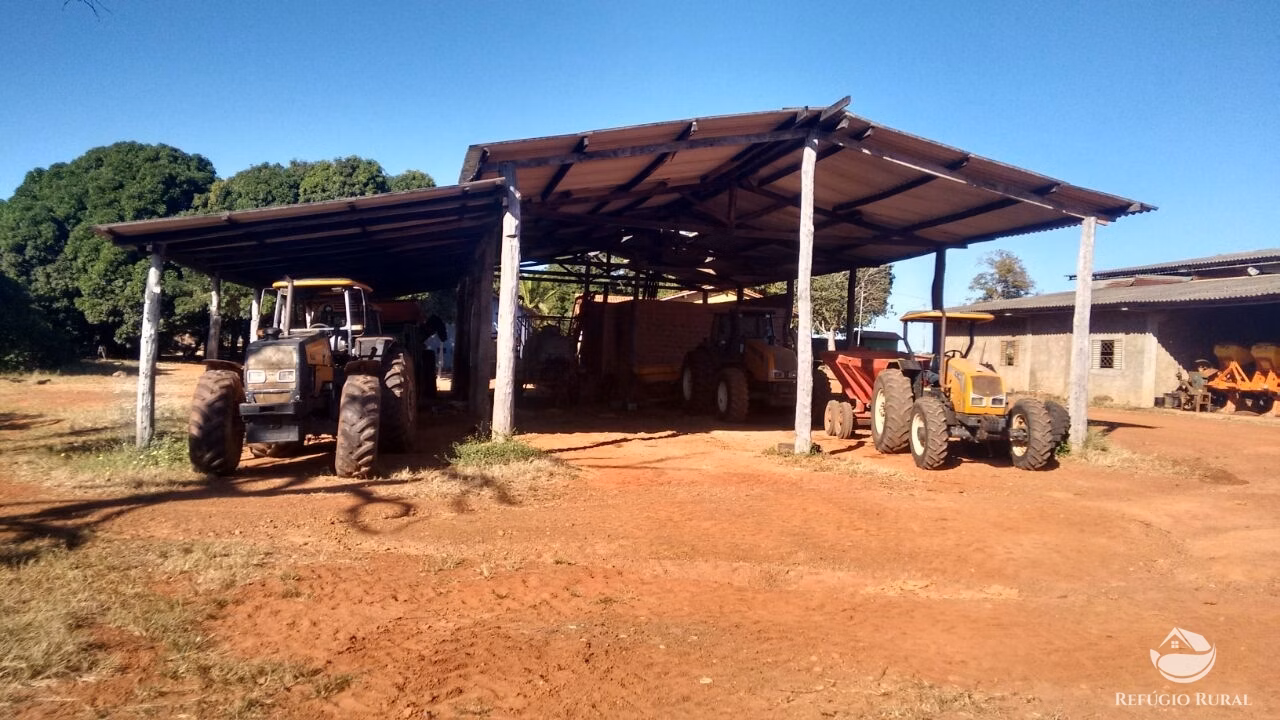 Farm of 48.974 acres in Goiatins, TO, Brazil