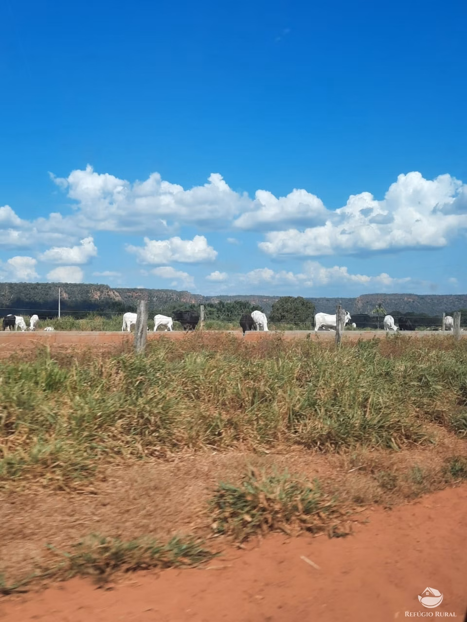 Fazenda de 19.819 ha em Goiatins, TO
