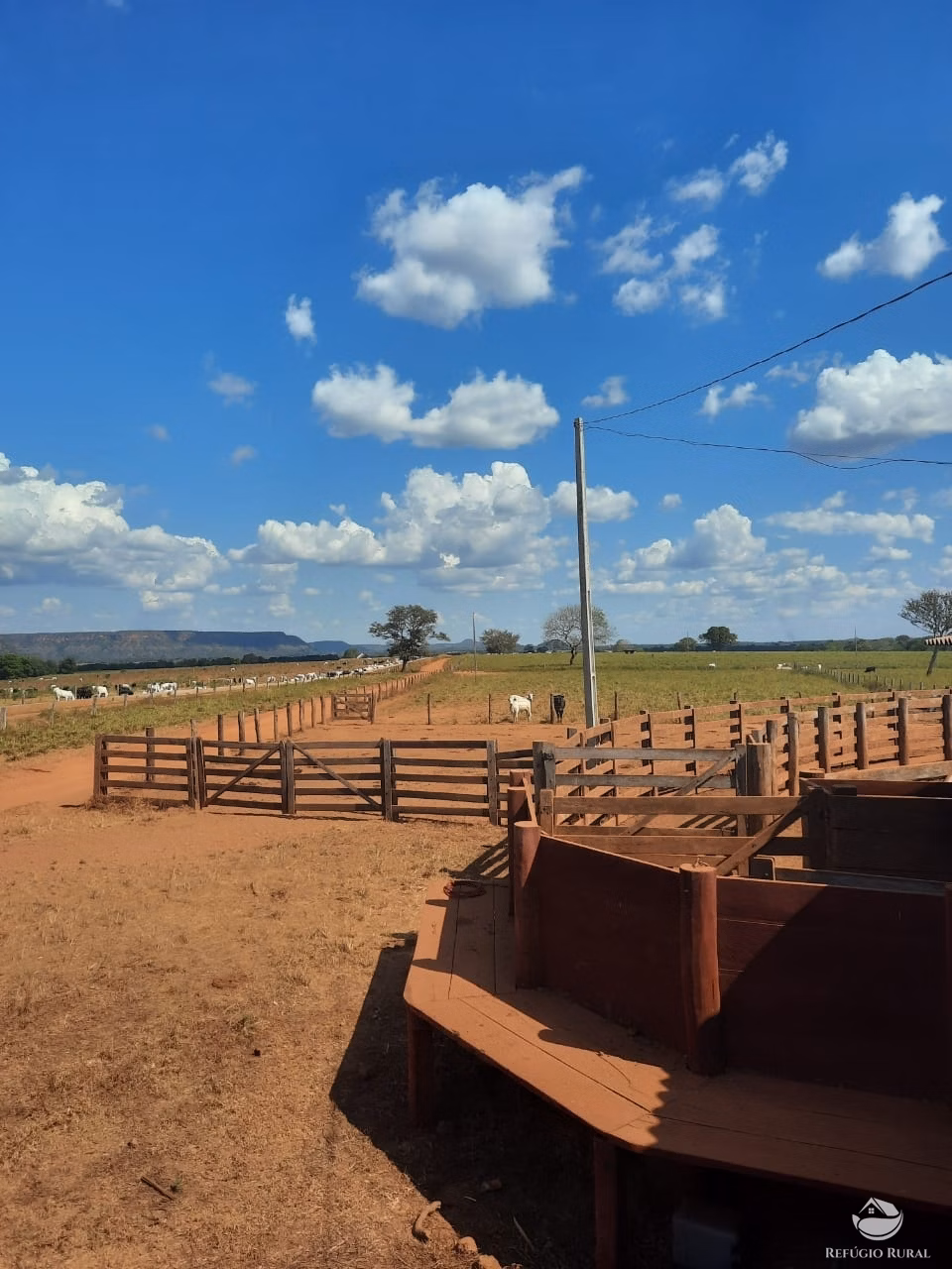Fazenda de 19.819 ha em Goiatins, TO