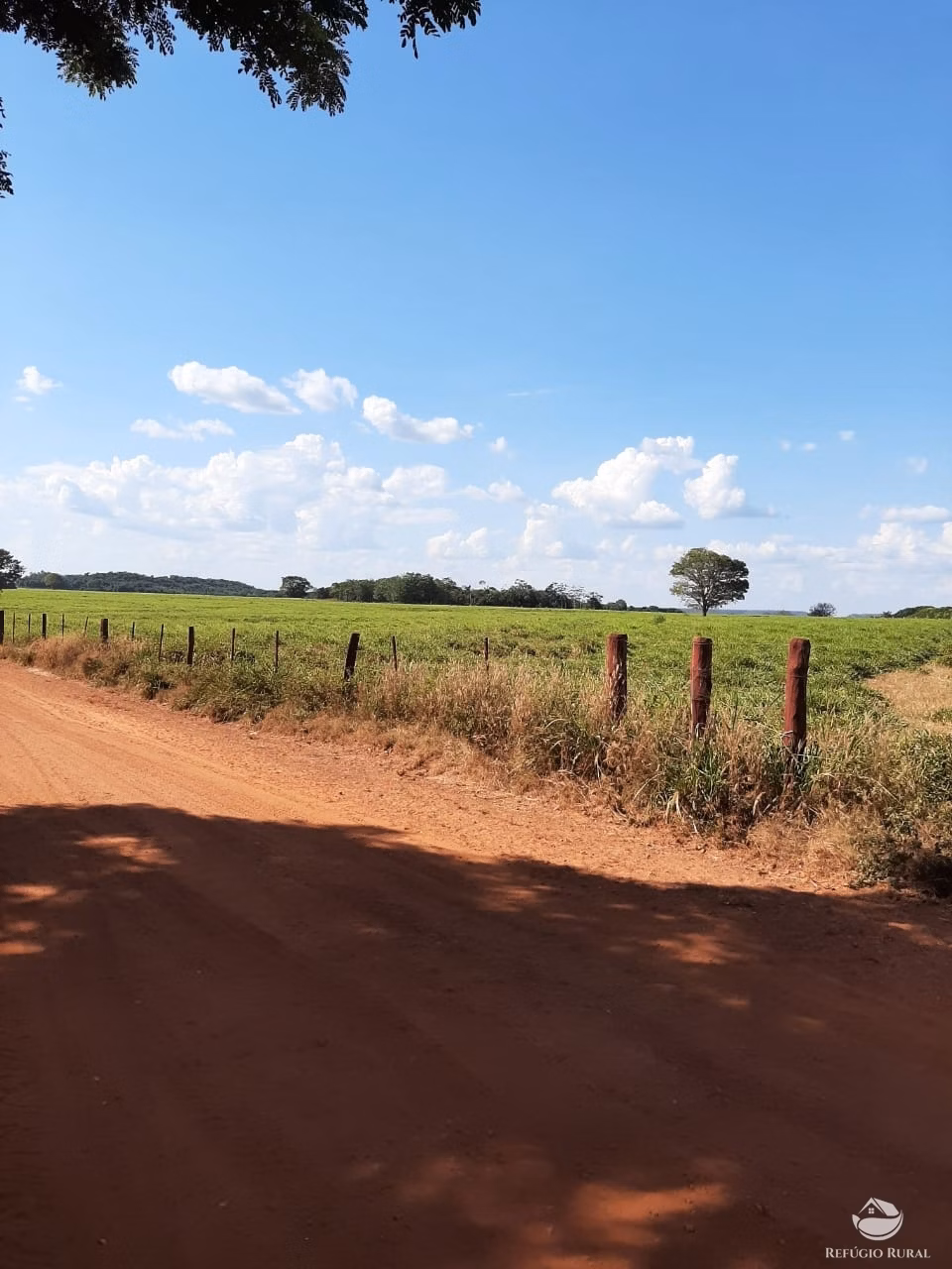 Fazenda de 19.819 ha em Goiatins, TO
