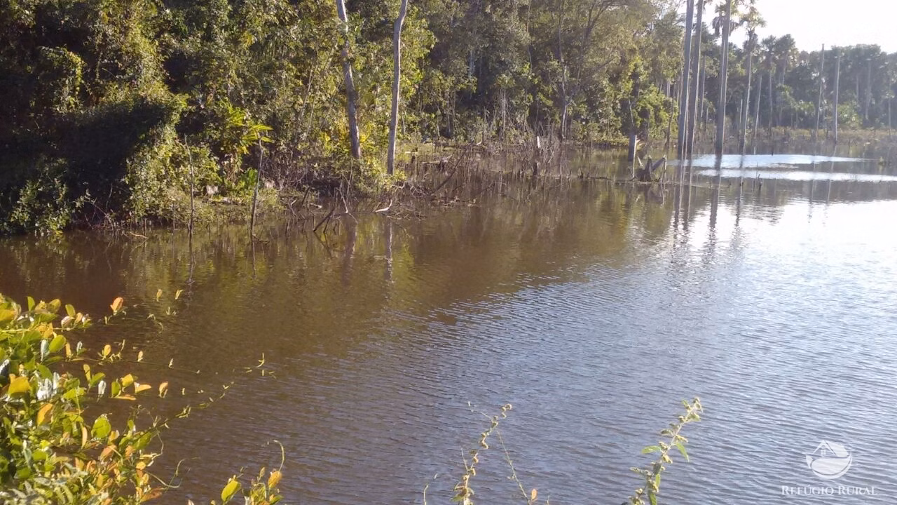 Farm of 48.974 acres in Goiatins, TO, Brazil