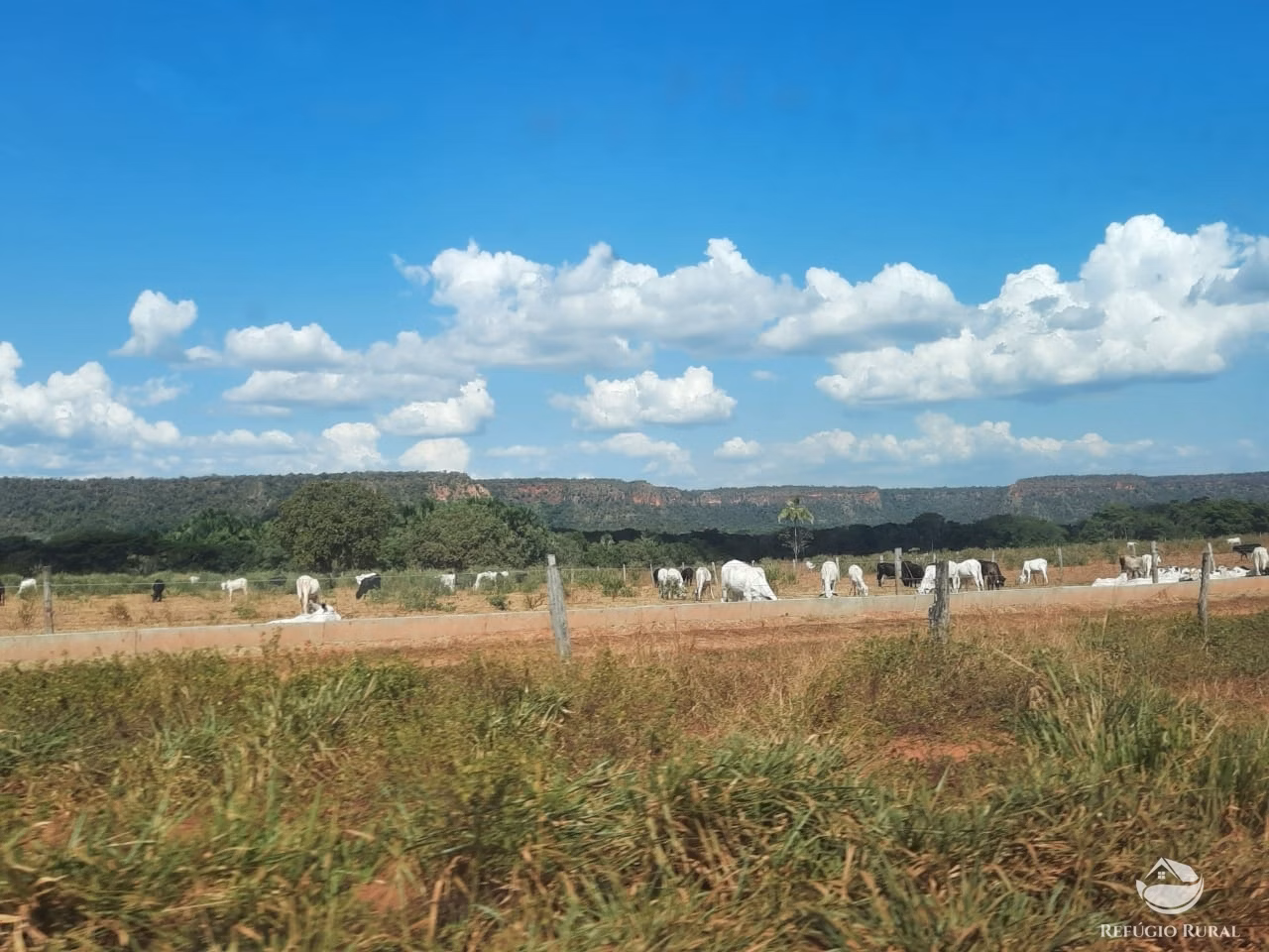 Fazenda de 19.819 ha em Goiatins, TO