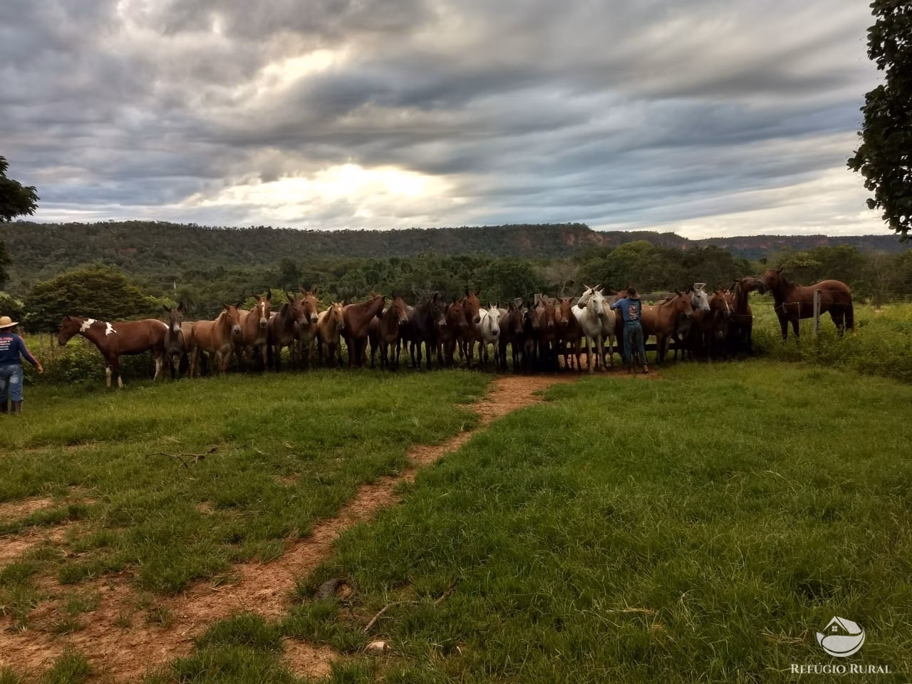 Fazenda de 19.819 ha em Goiatins, TO