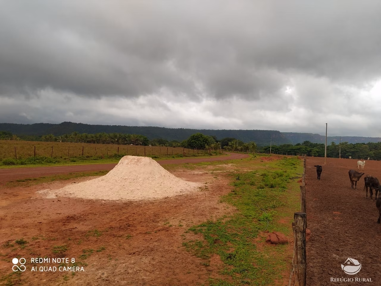 Fazenda de 19.819 ha em Goiatins, TO