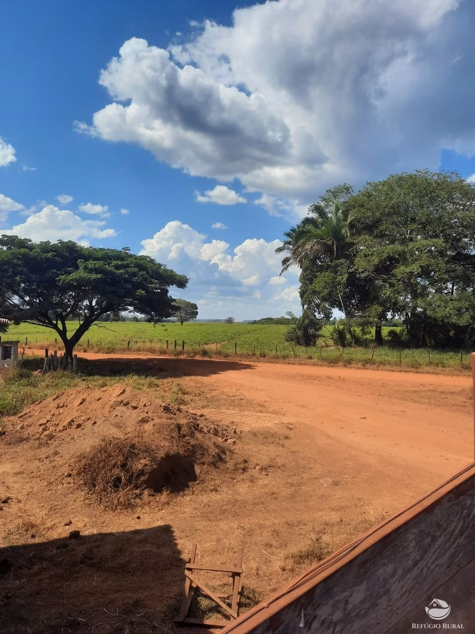 Fazenda de 19.819 ha em Goiatins, TO
