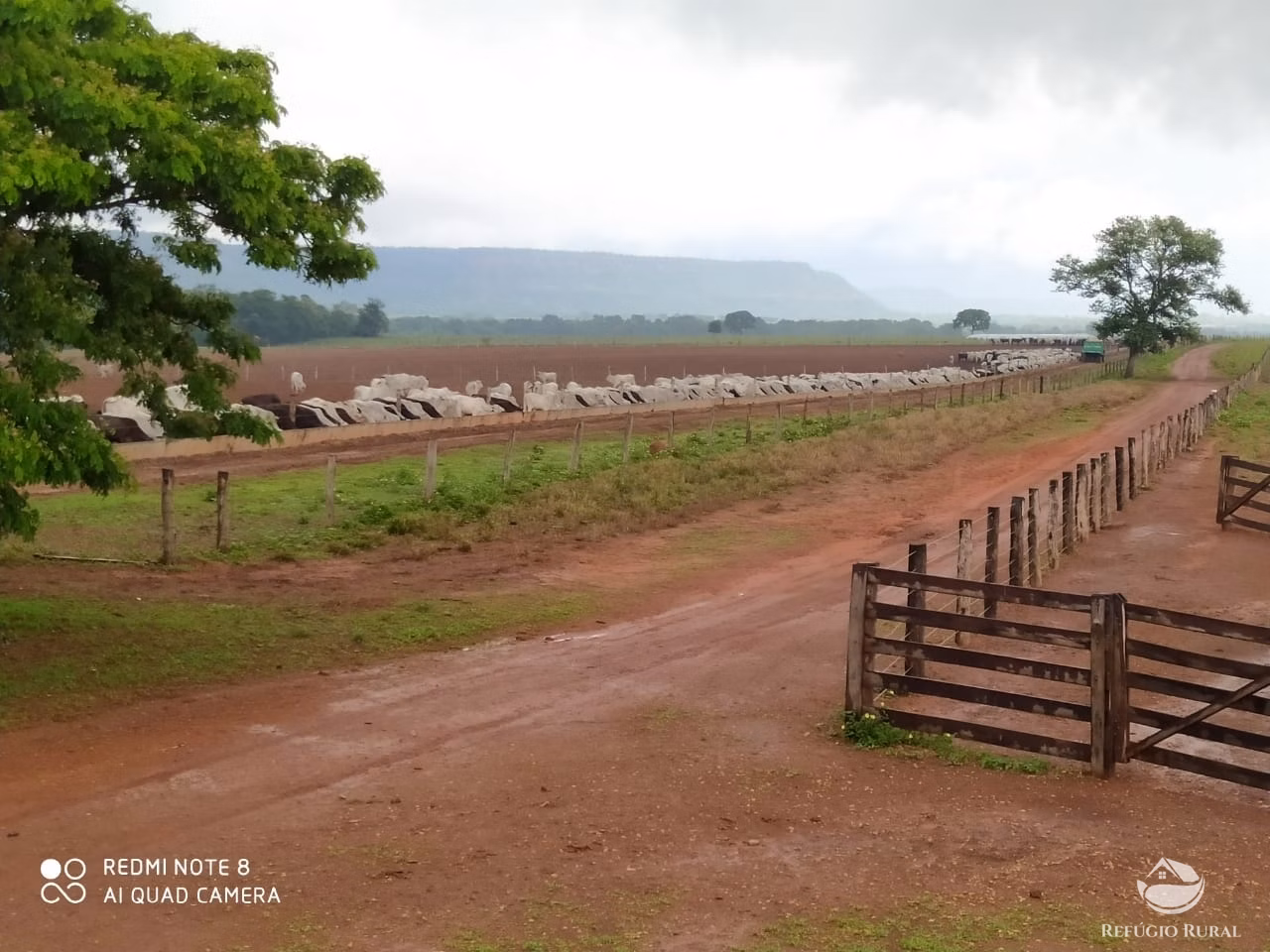 Fazenda de 19.819 ha em Goiatins, TO