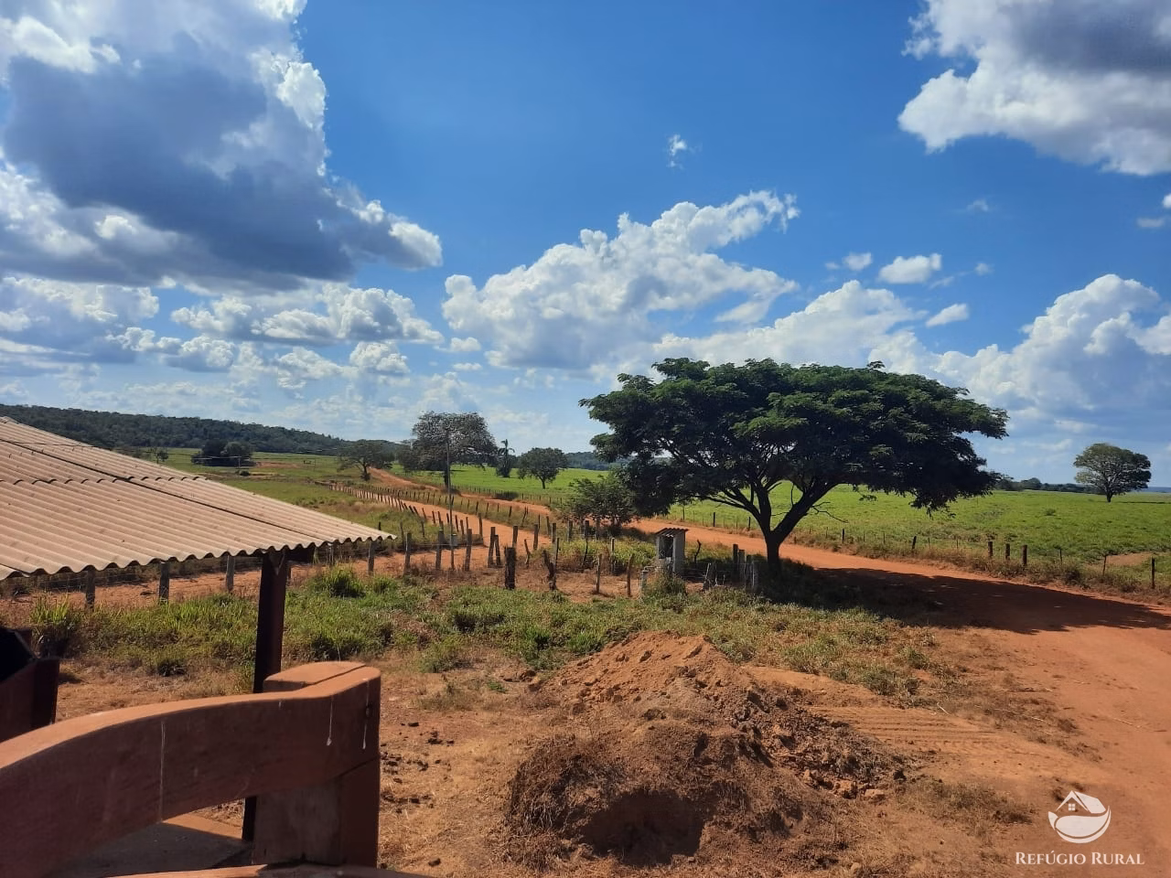 Fazenda de 19.819 ha em Goiatins, TO