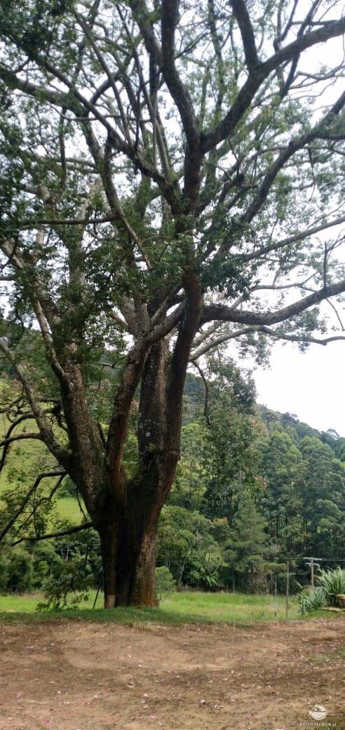 Fazenda de 107 ha em Joanópolis, SP