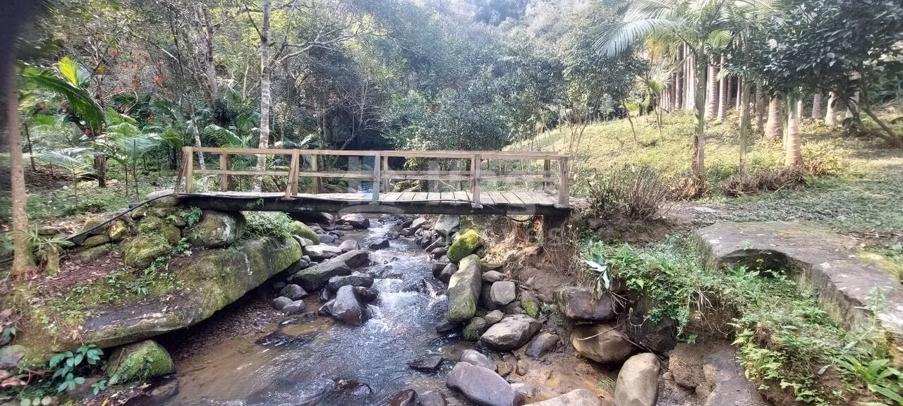 Chácara de 3 ha em Vidal Ramos, SC