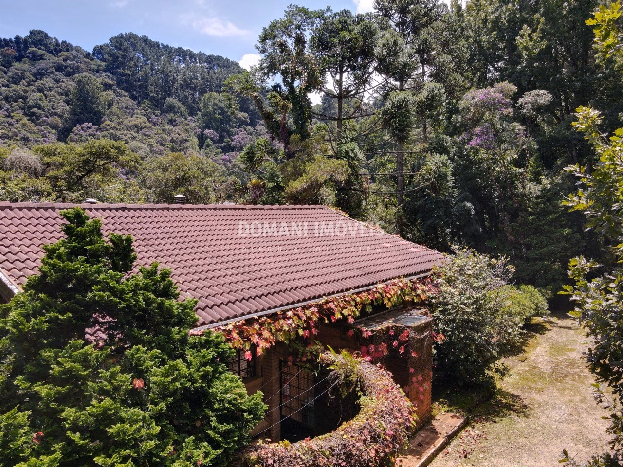 House of 6 acres in Campos do Jordão, SP, Brazil