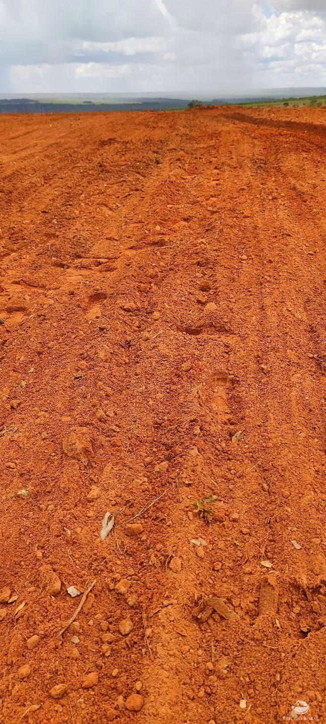 Fazenda de 1.100 ha em Guiratinga, MT