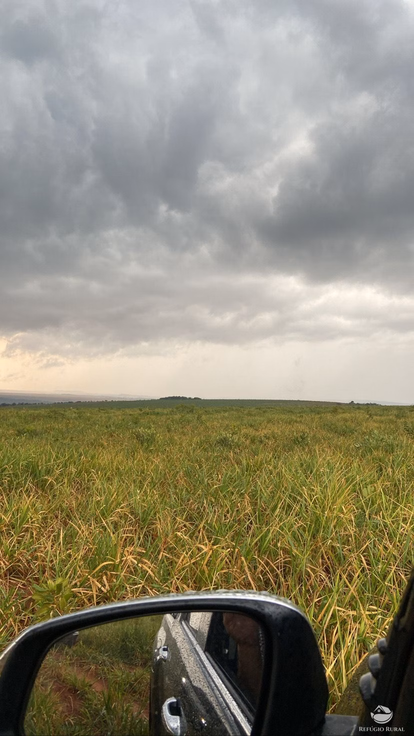 Fazenda de 1.100 ha em Guiratinga, MT