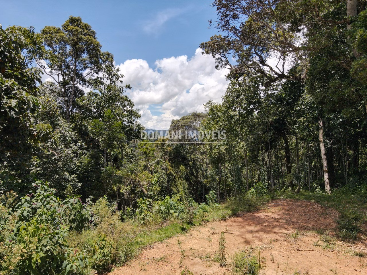 Plot of 2,250 m² in Campos do Jordão, SP, Brazil