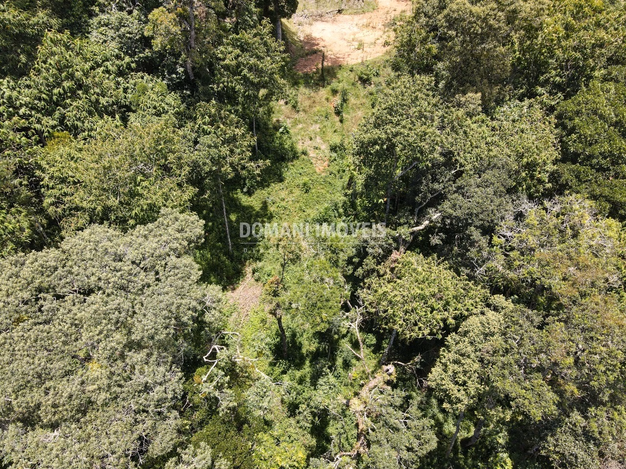 Plot of 2,250 m² in Campos do Jordão, SP, Brazil