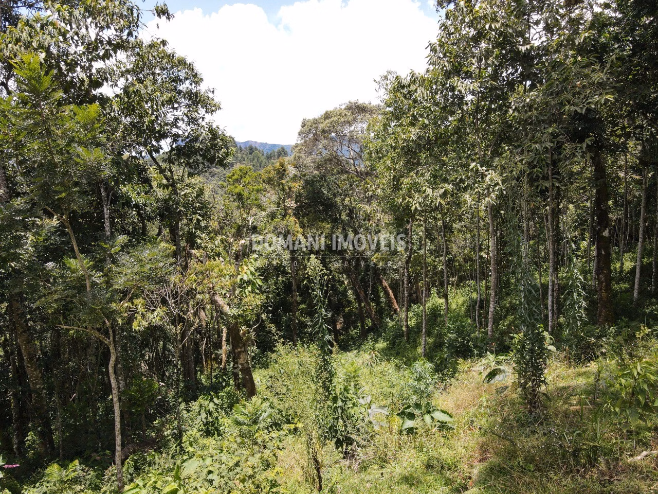 Plot of 2,250 m² in Campos do Jordão, SP, Brazil