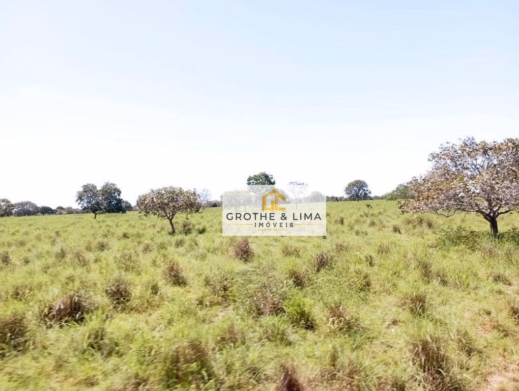Farm of 2.727 acres in Araguacema, TO, Brazil