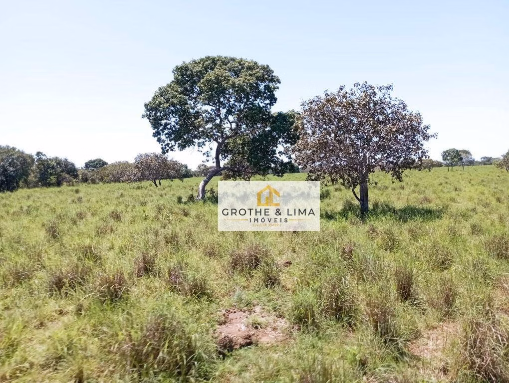Farm of 2.727 acres in Araguacema, TO, Brazil