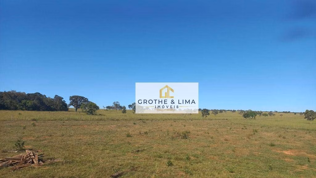 Fazenda de 2.405 ha em Água Clara, MS