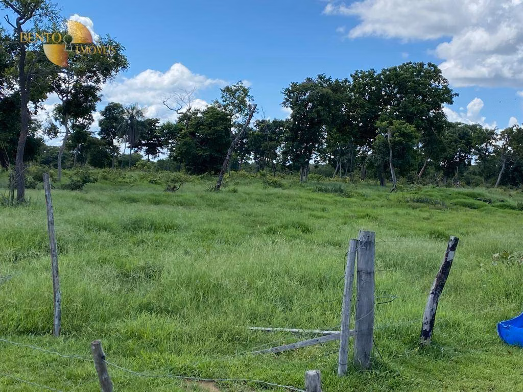 Fazenda de 609 ha em Poconé, MT