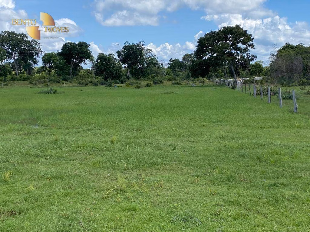 Fazenda de 609 ha em Poconé, MT