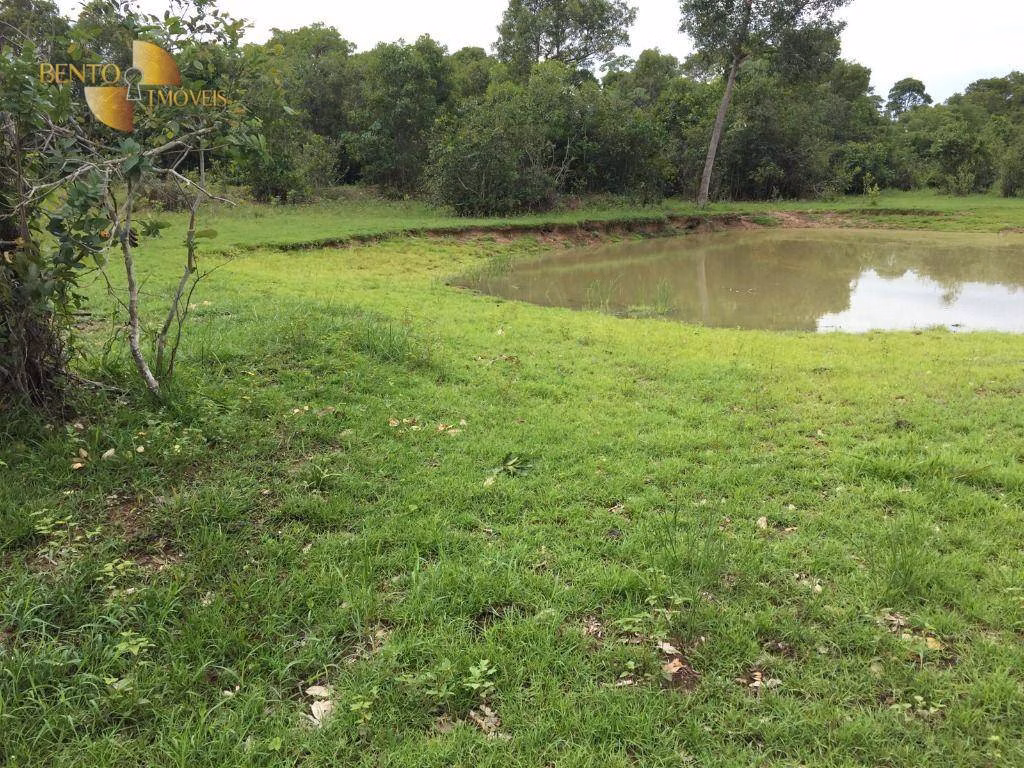 Fazenda de 609 ha em Poconé, MT