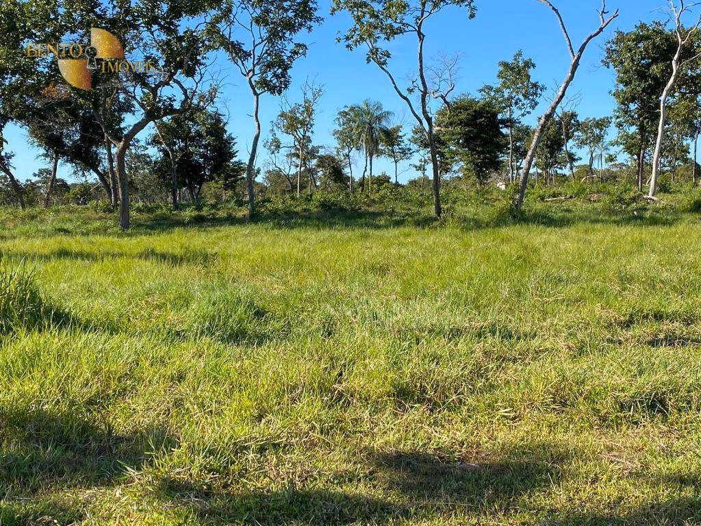 Fazenda de 609 ha em Poconé, MT