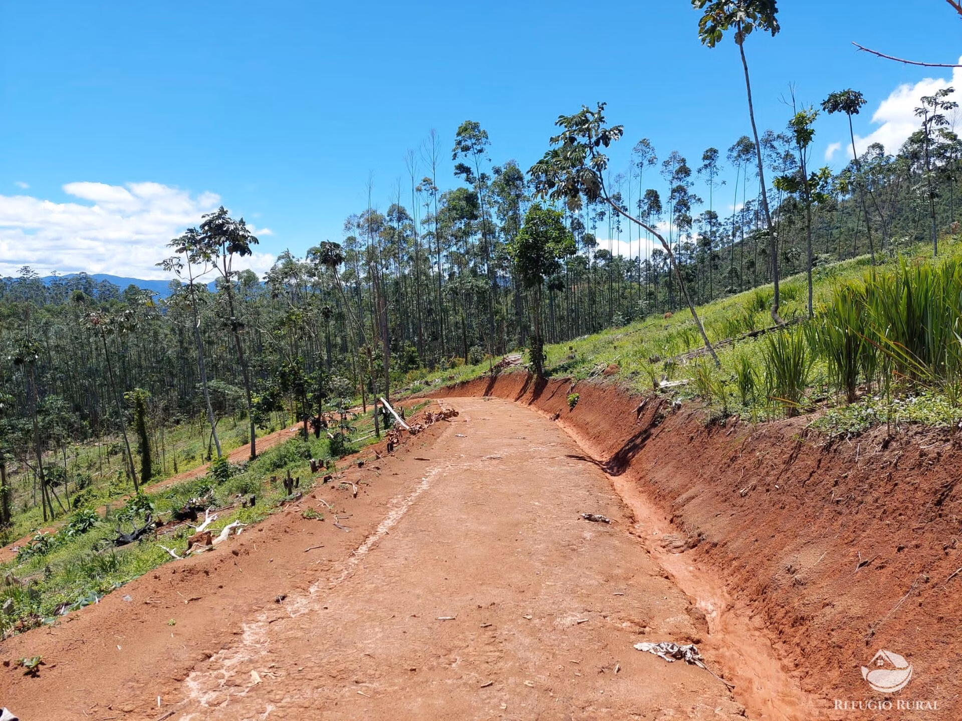 Terreno de 3 ha em Monteiro Lobato, SP