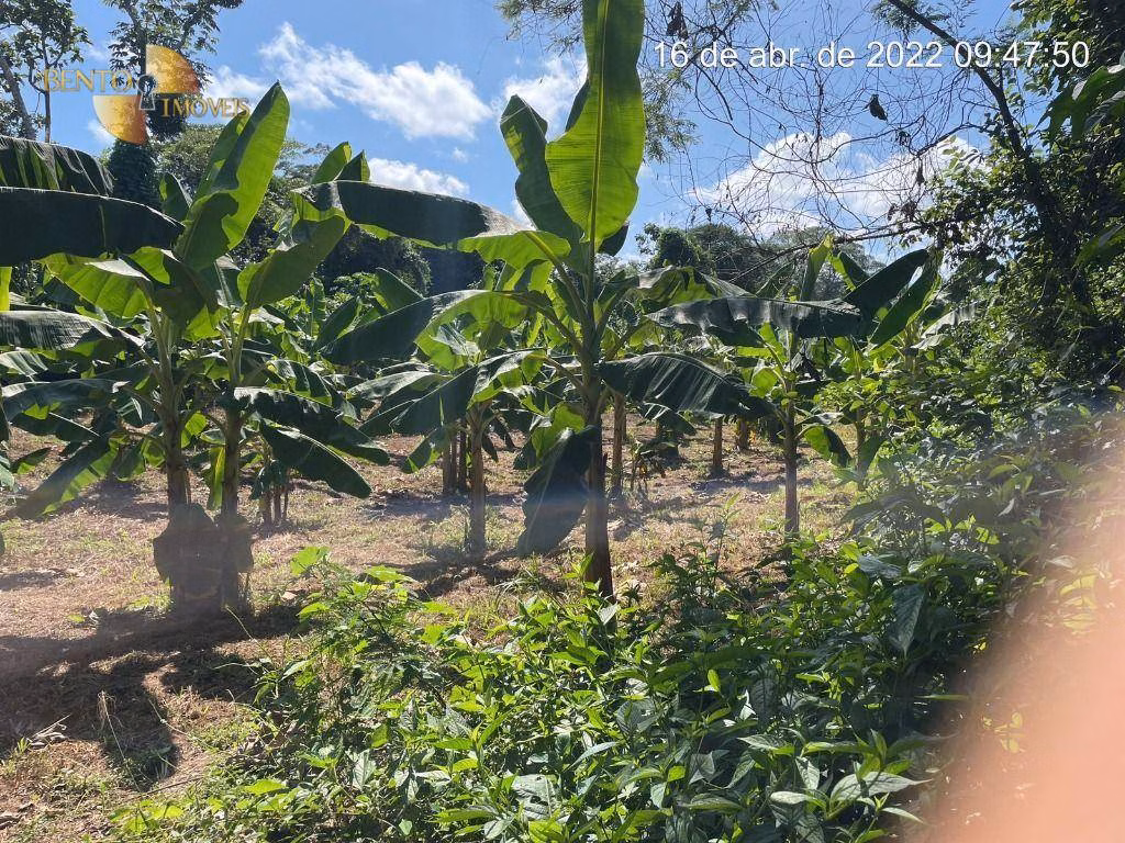 Fazenda de 317 ha em Rosário Oeste, MT