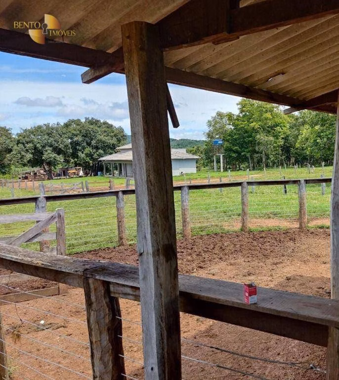 Fazenda de 317 ha em Rosário Oeste, MT