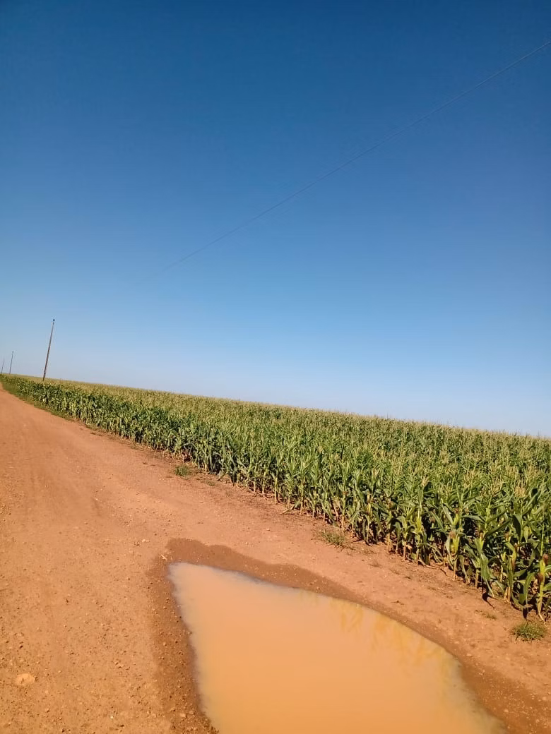 Fazenda de 2.386 ha em Nova Xavantina, MT