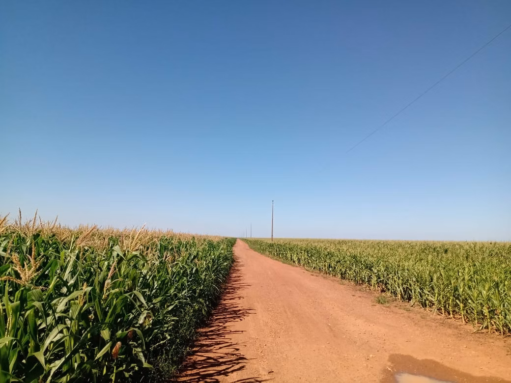 Fazenda de 2.386 ha em Nova Xavantina, MT