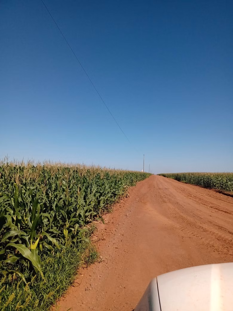 Fazenda de 2.386 ha em Nova Xavantina, MT