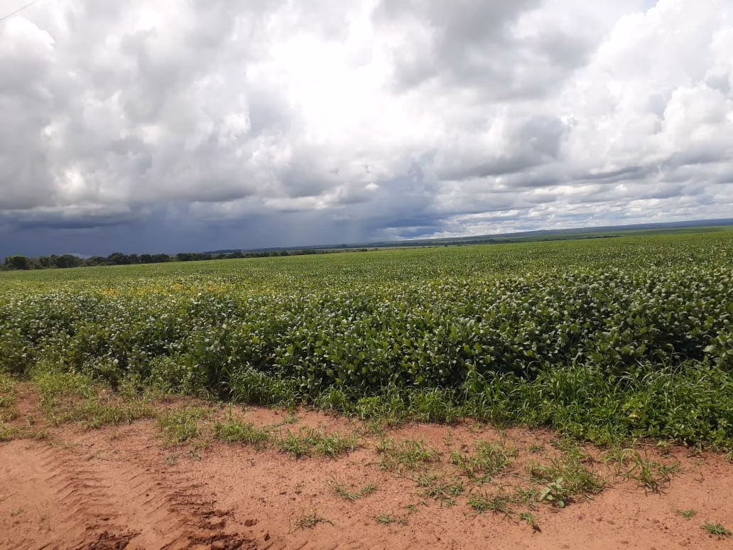 Fazenda de 2.386 ha em Nova Xavantina, MT