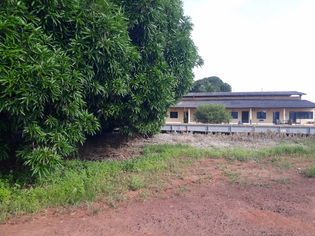 Fazenda de 2.386 ha em Nova Xavantina, MT