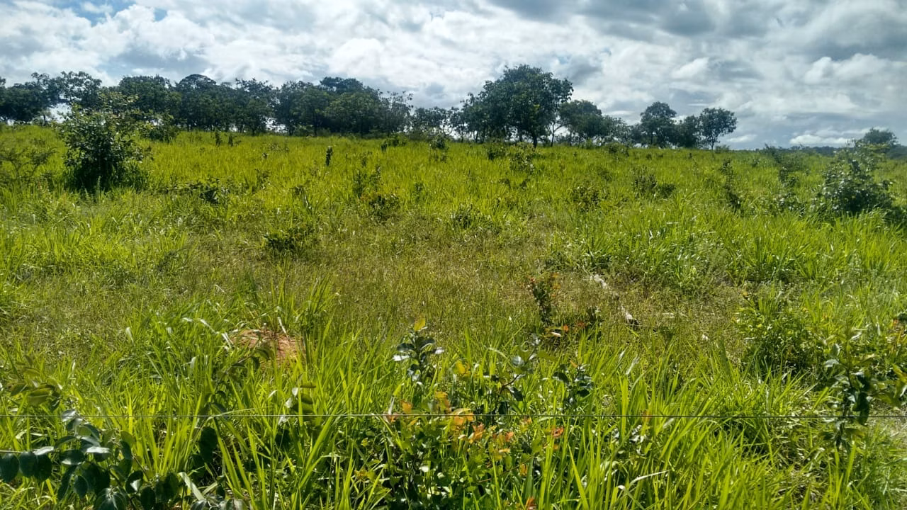 Fazenda de 2.063 ha em João Pinheiro, MG