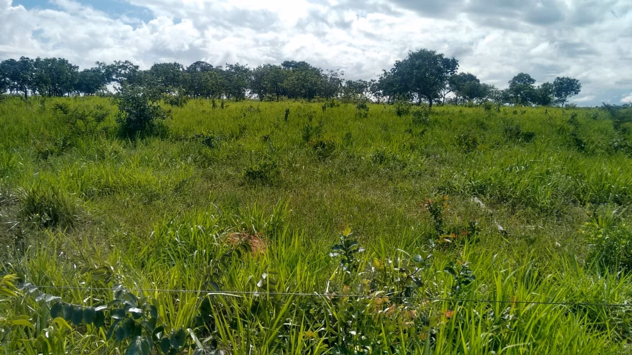 Fazenda de 2.063 ha em João Pinheiro, MG
