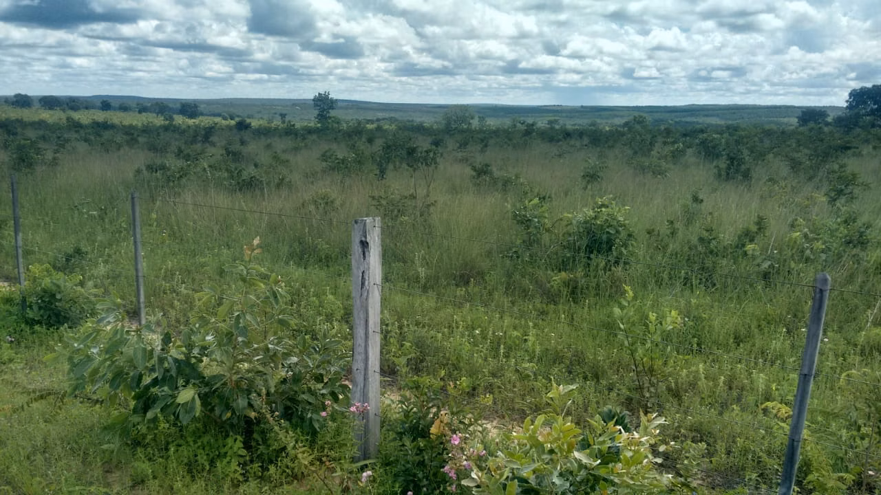Fazenda de 2.063 ha em João Pinheiro, MG