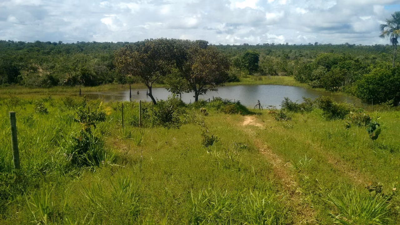 Fazenda de 2.063 ha em João Pinheiro, MG