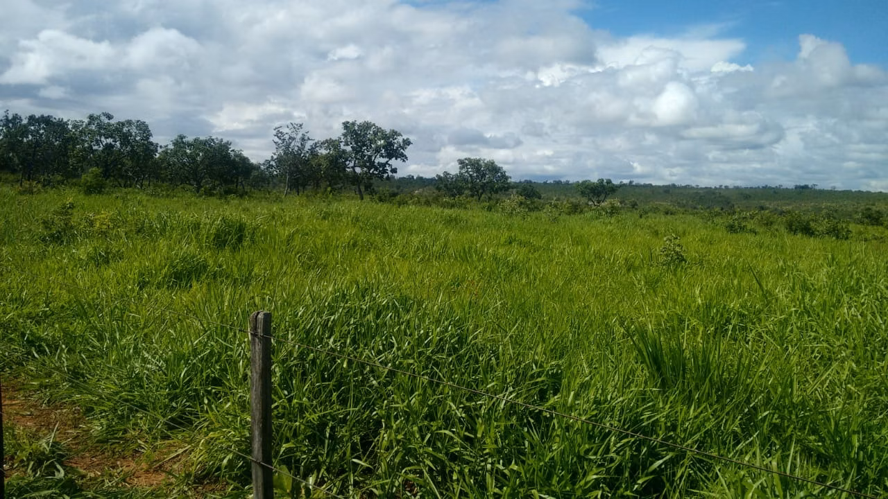 Fazenda de 2.063 ha em João Pinheiro, MG