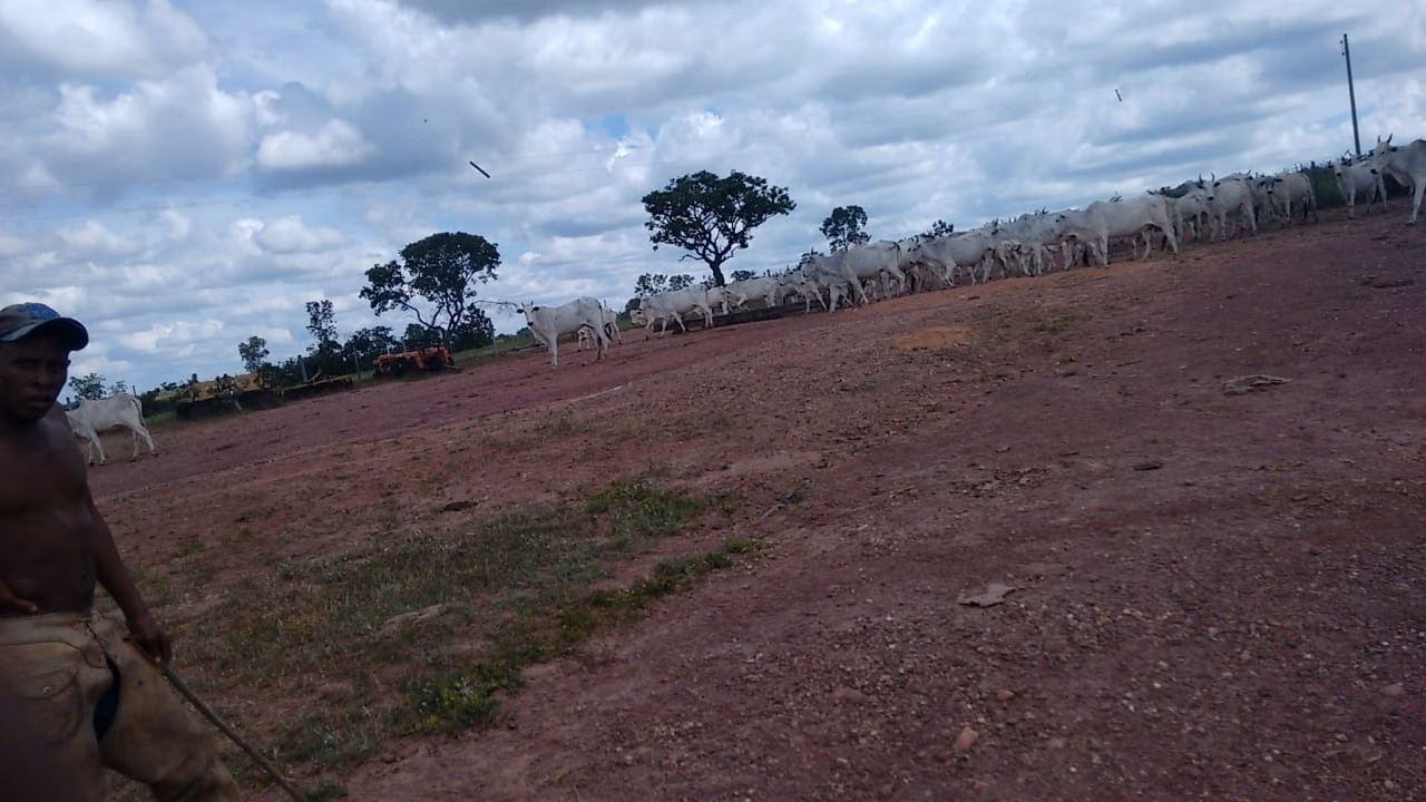 Fazenda de 2.063 ha em João Pinheiro, MG