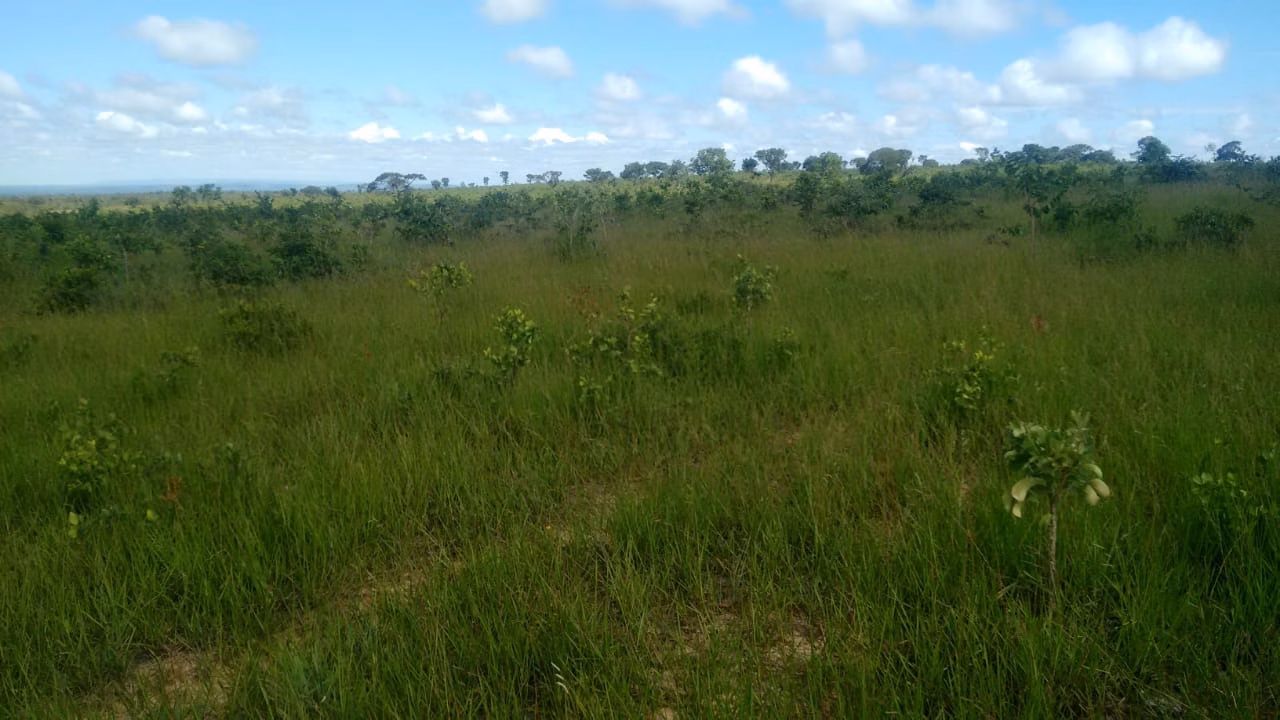 Fazenda de 2.063 ha em João Pinheiro, MG