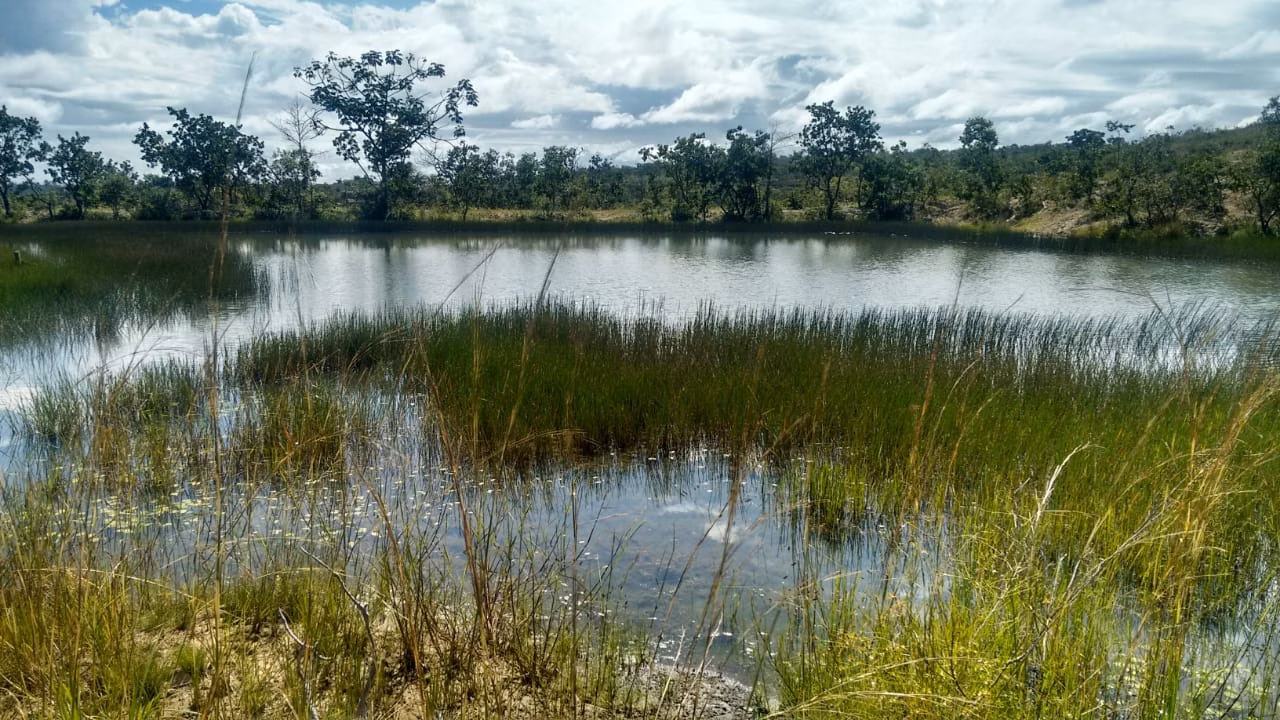 Fazenda de 2.063 ha em João Pinheiro, MG