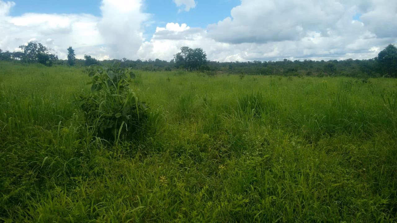 Fazenda de 2.063 ha em João Pinheiro, MG