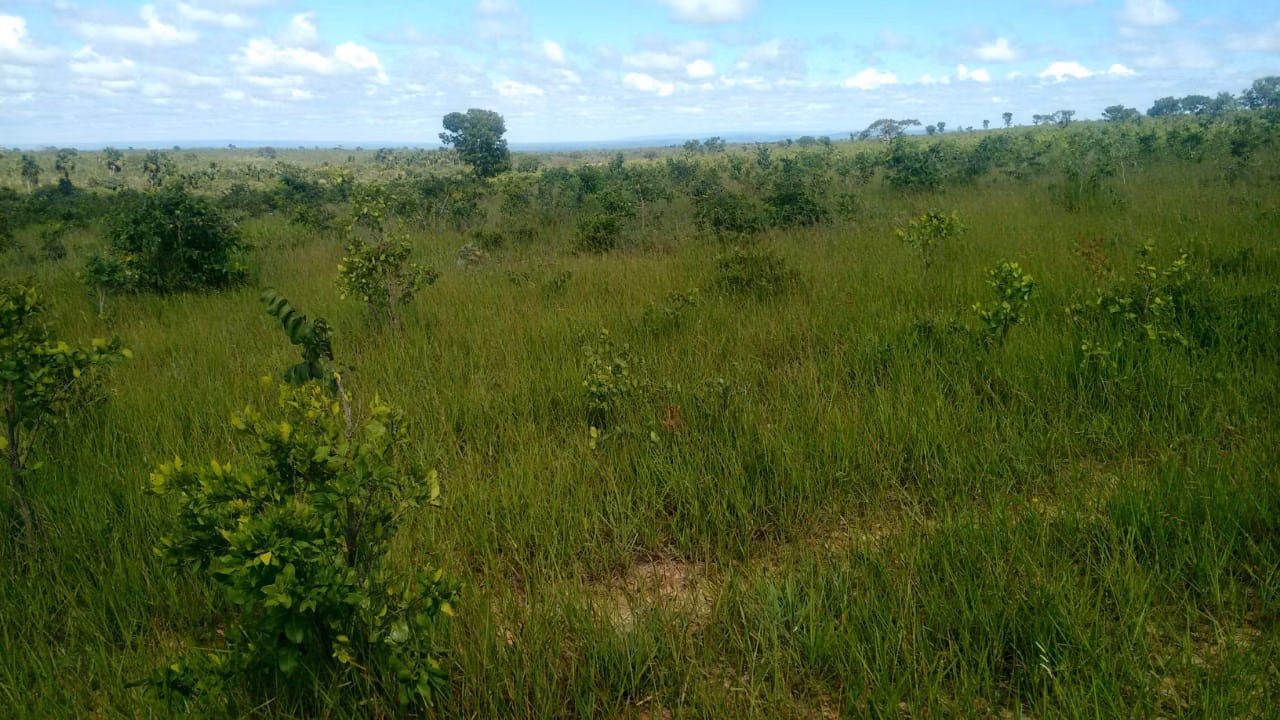 Fazenda de 2.063 ha em João Pinheiro, MG