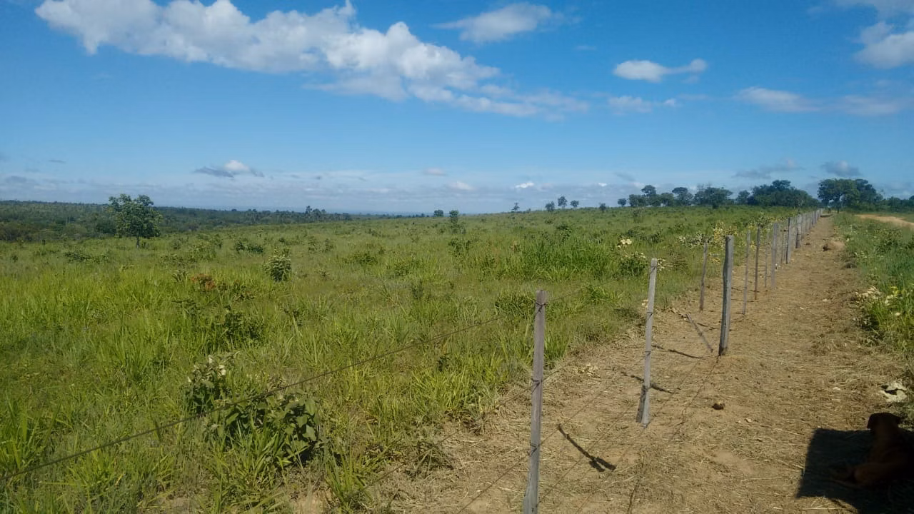Fazenda de 2.063 ha em João Pinheiro, MG
