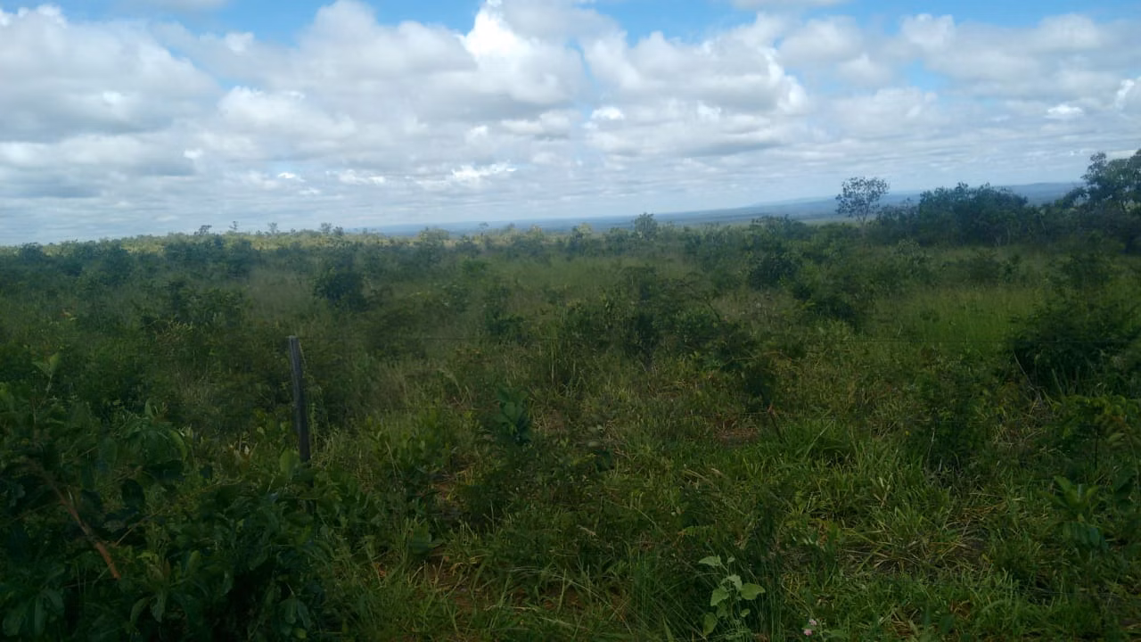 Fazenda de 2.063 ha em João Pinheiro, MG
