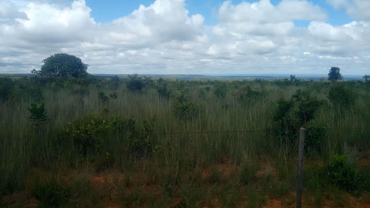 Fazenda de 2.063 ha em João Pinheiro, MG