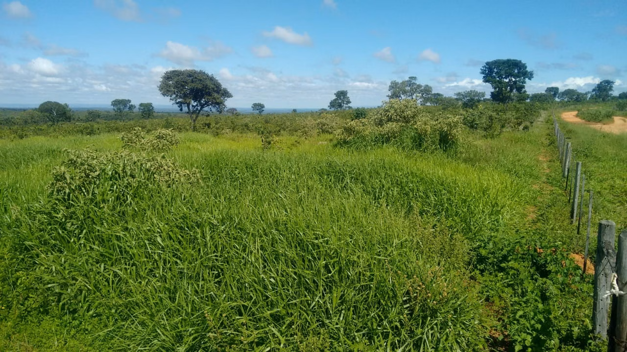Fazenda de 2.063 ha em João Pinheiro, MG